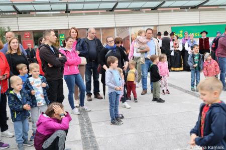 Čebela velikanka potuje po Kamniku (35)